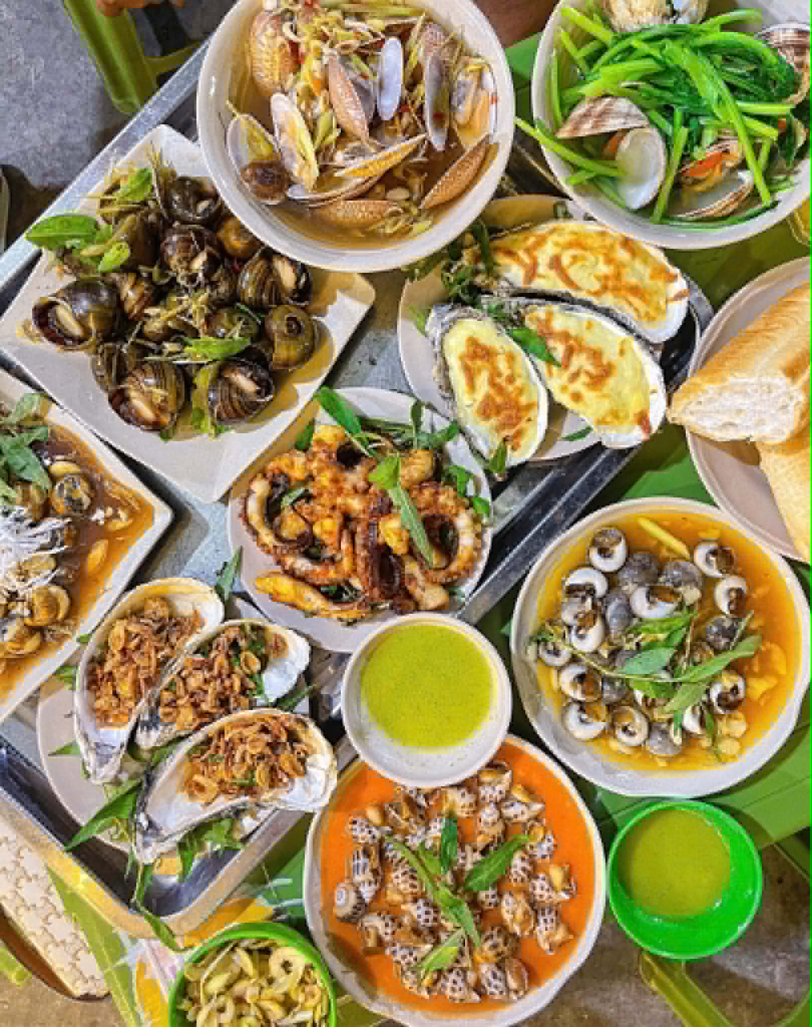 Giới Thiệu
