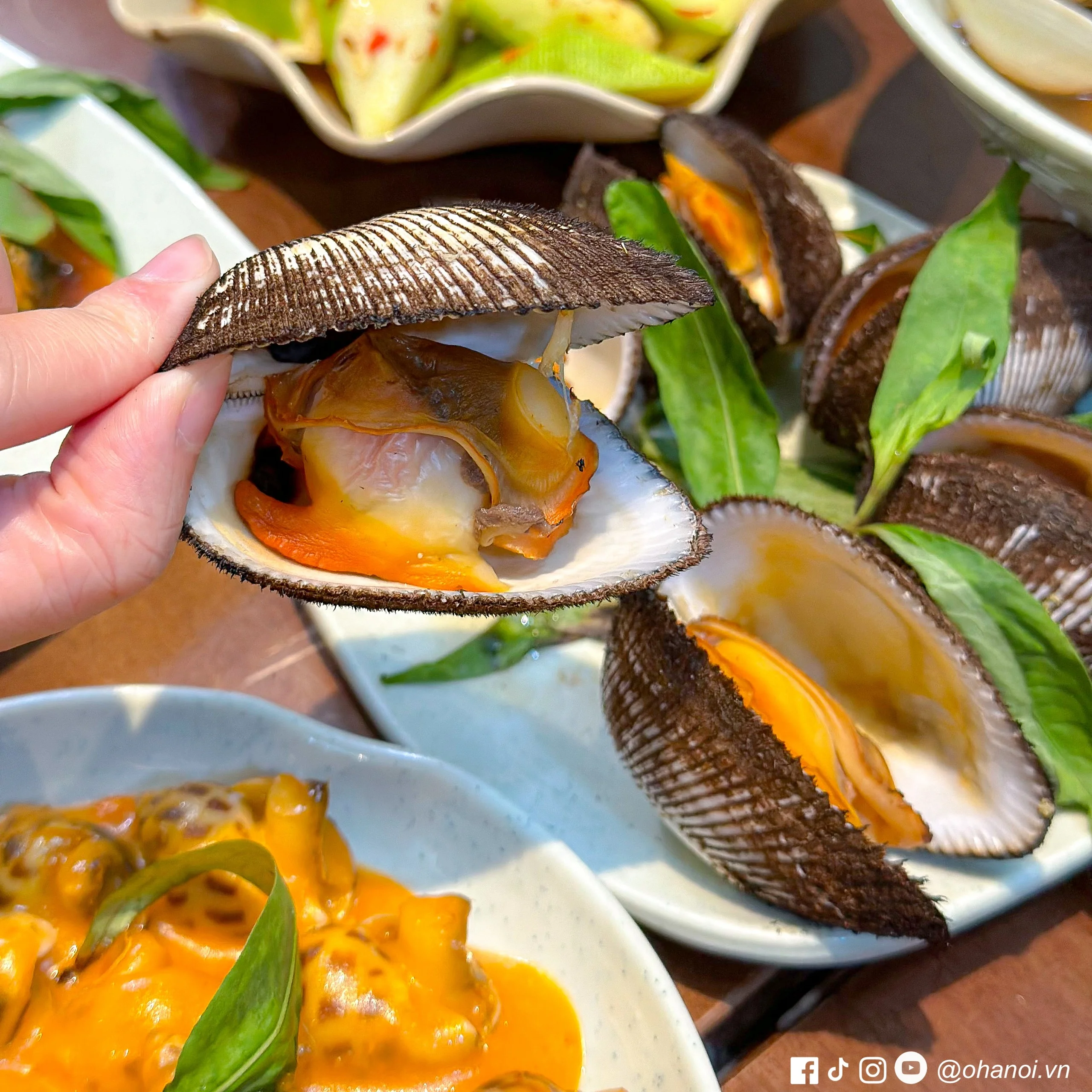 SÒ CÁC LOẠI