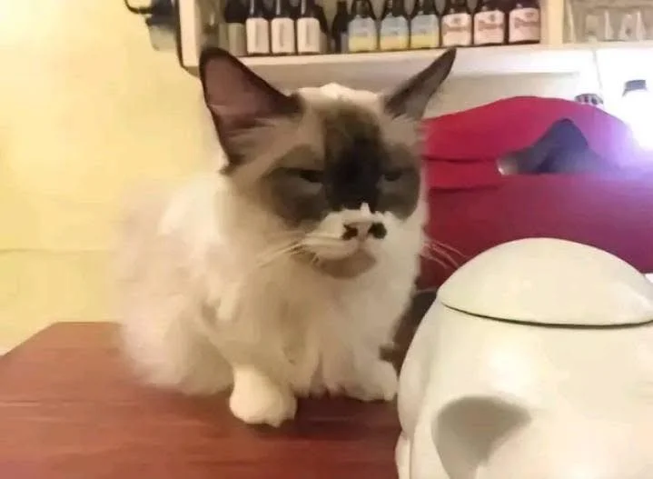 Combo Hải Sản Nướng Tiệc