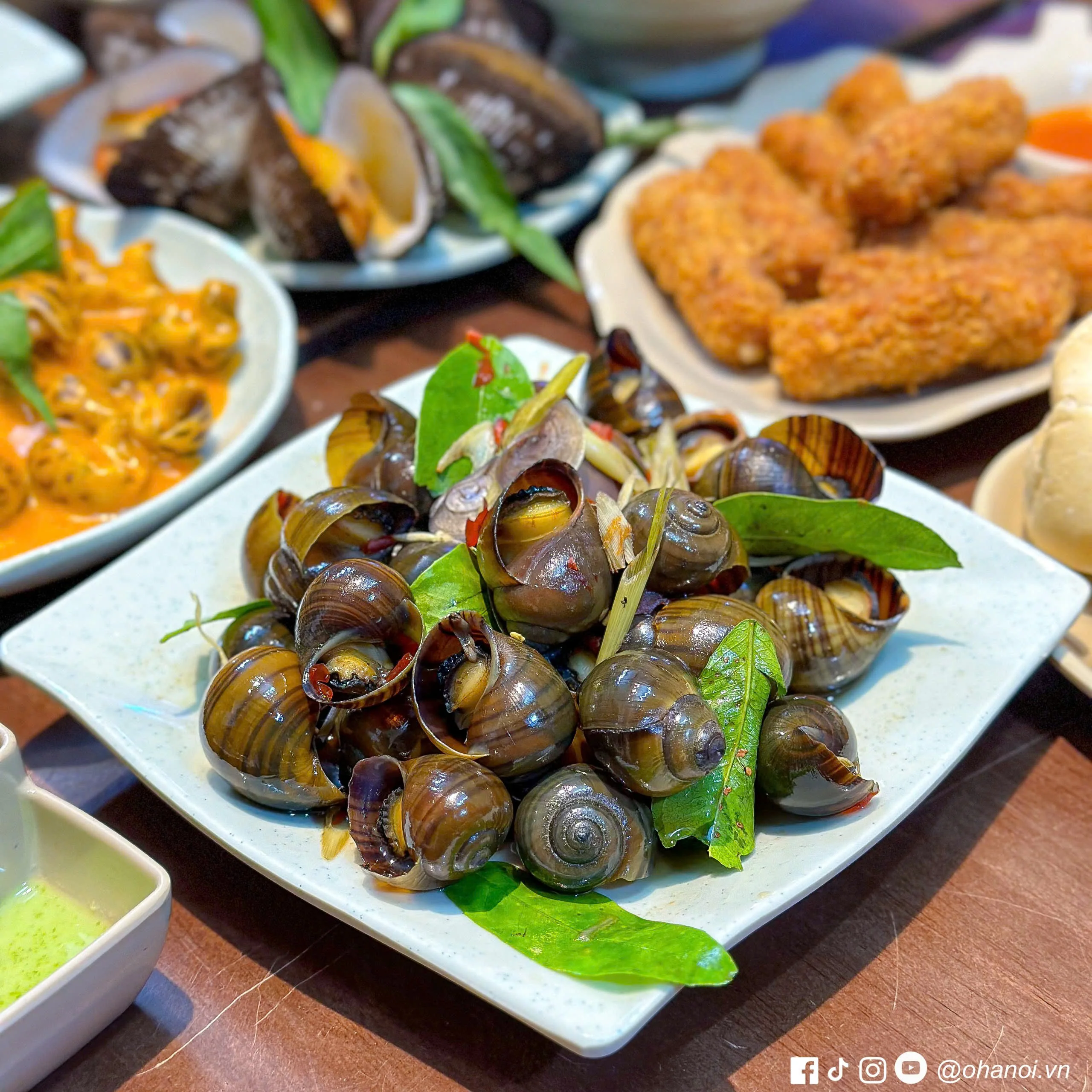 ỐC MÍT LUỘC MẮM