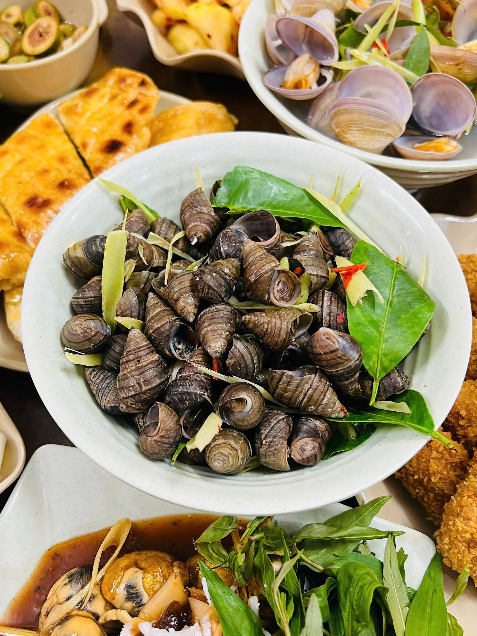 ỐC VẶN HẤP SẢ
