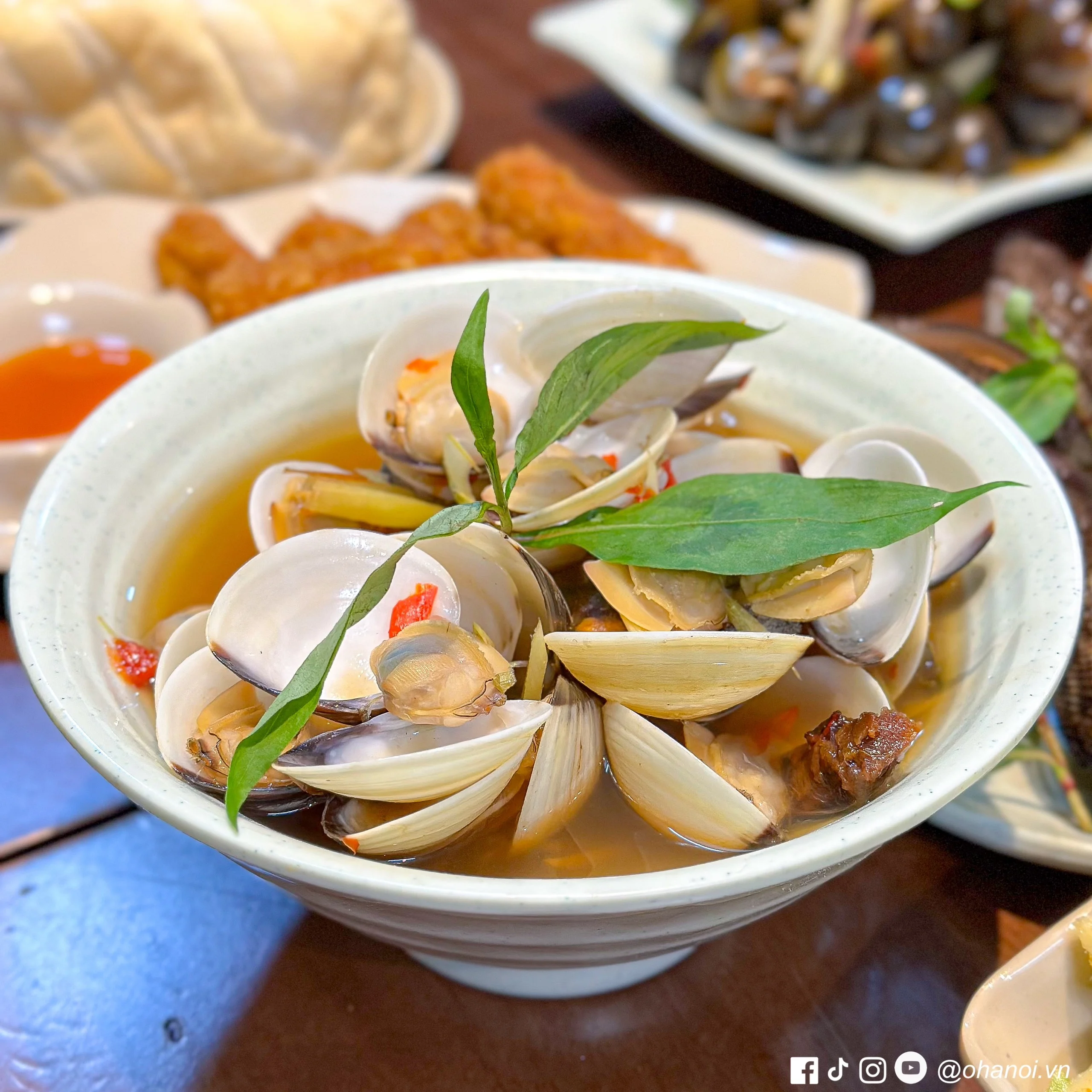 NGAO TRẮNG HẤP THÁI